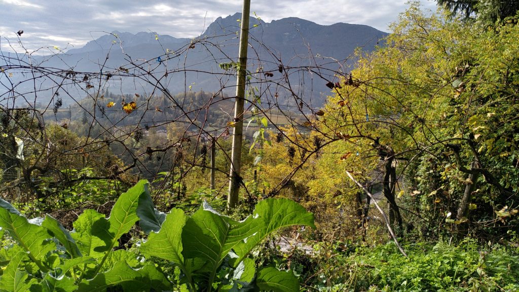 Le Terre di Giuseppe, diversificazione, agricoltura biologica trentina, agroecologia