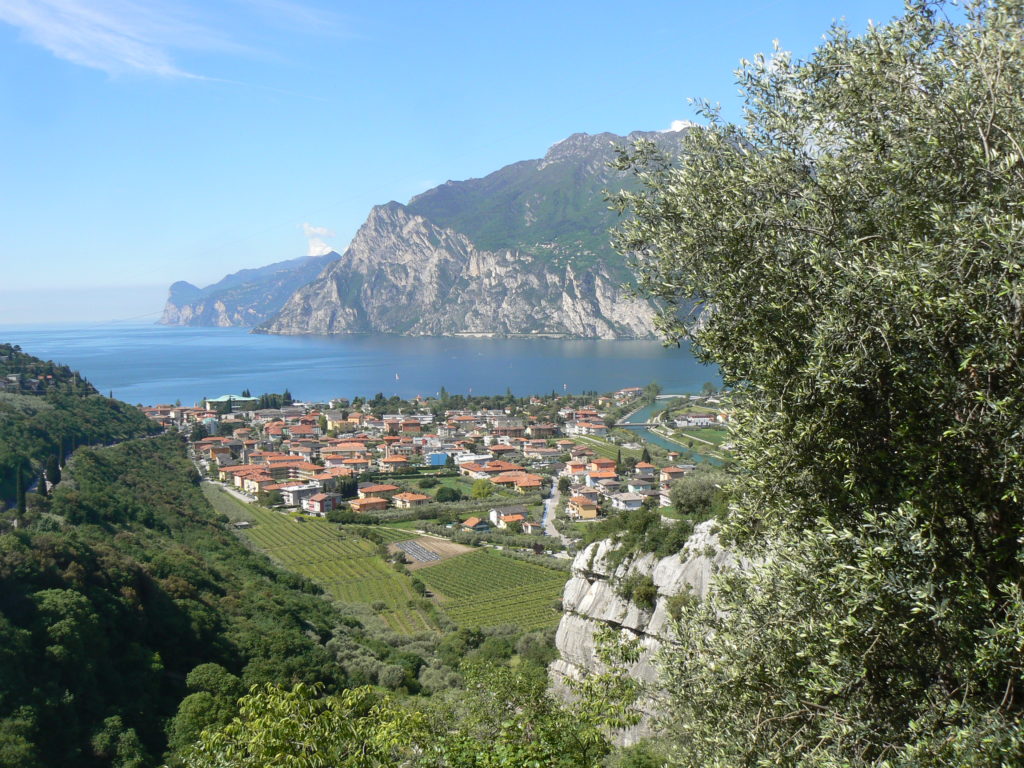 Le Terre di Giuseppe, Olivi sul Garda Trentino, Olio Extravergine del Garda Bio